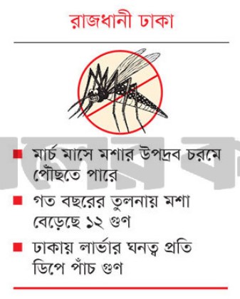 মশায় অতিষ্ঠ জনজীবন